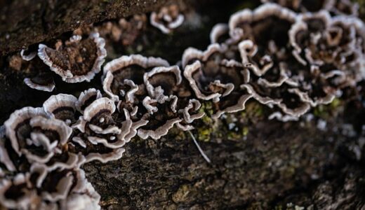 【2025年版】診療報酬債権の時効は何年？改正民法の影響と医療機関が知るべき債権管理のポイント