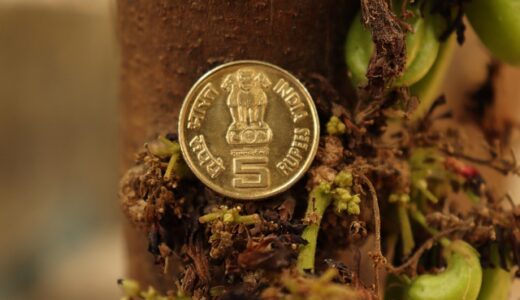 住民税分割相談どこに行けばいい？窓口から手続きまで完全ガイド