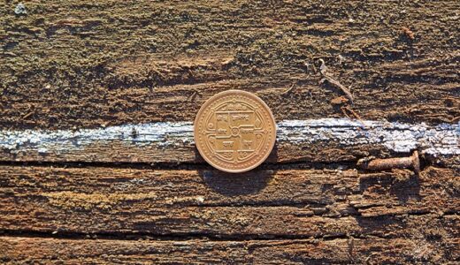 【2026年最新】社会保険料 裏ワザ完全ガイド!年間数十万円削減する合法的節約術