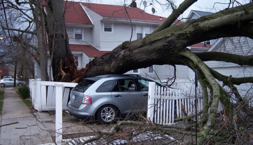 【最新版】生命保険を活用した社会保険料削減スキーム完全ガイド|年間数百万円の削減も可能