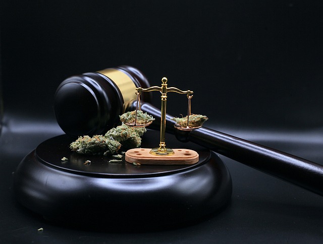 legal